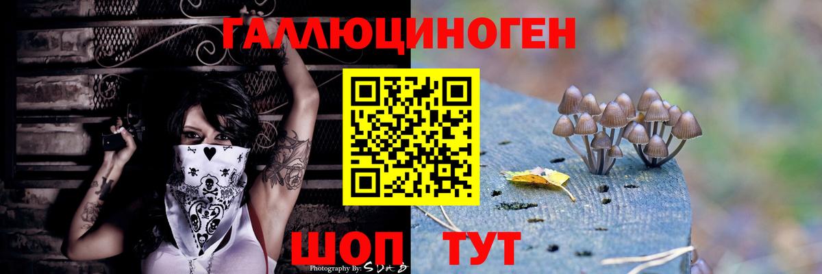 Галлюциногенные грибы мицелий  Галлюциногенные грибы прущие грибы  Коломна  купить   Вход с VPN 
